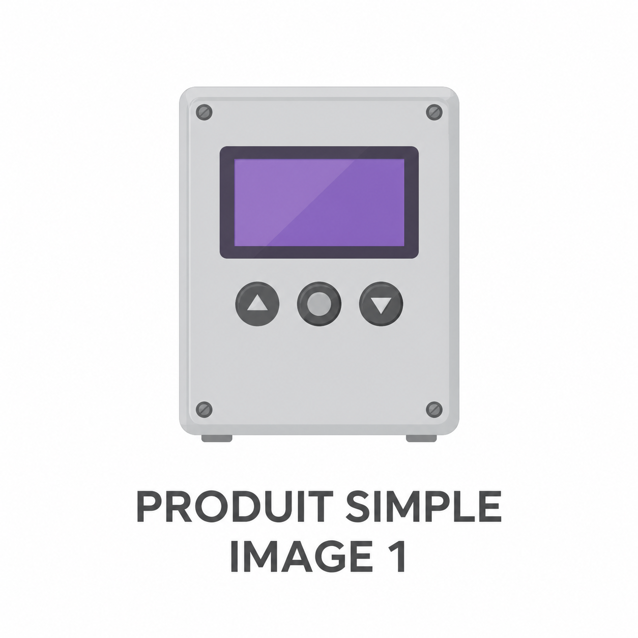 EXEMPLE PRODUIT SIMPLE 1 – Image 1