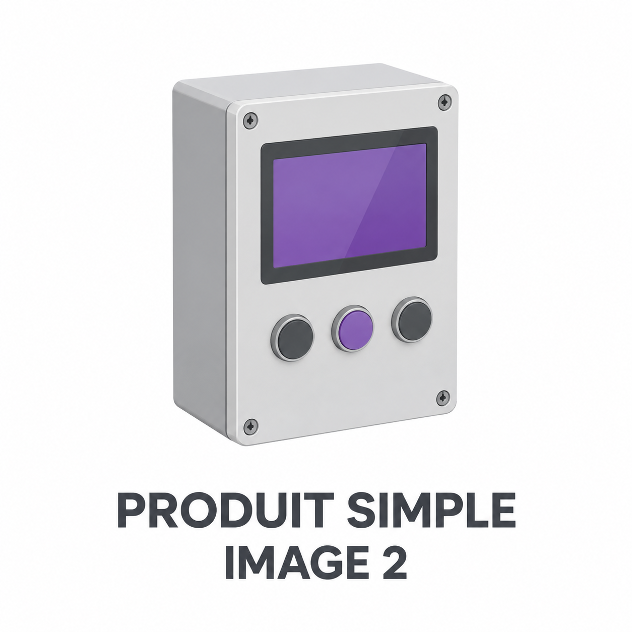 EXEMPLE PRODUIT SIMPLE 1 – Image 2